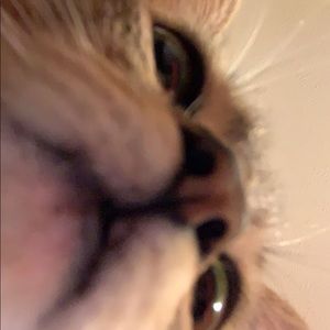 Meet your Posher, Aaliyah